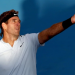 Juan Martín del Potro venció a Ferrer y jugará su primera final del 2018