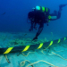 Google construirá un cable submarino propio entre Los Angeles y Valparaíso