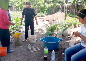 Impulsan lombricario en huerta de Alto Comedero