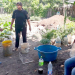 Impulsan lombricario en huerta de Alto Comedero