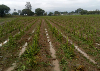 El temporal del día de ayer causo daños en el Tabaco
