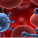 Qué y cuáles son los más de 100 tumores de la sangre que existen