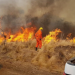 Quisieron prender el fuego para un asado y terminaron quemando mil hectáreas