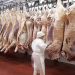 La producción de carne vacuna aumentó 10,3% interanual en enero