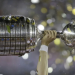 Los exorbitantes precios de las entradas de la Copa Libertadores: más caras que las de la Champions League