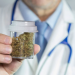 El exitoso debut del cannabis en Wall Street
