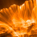 Astrónomos rusos predicen cuándo azotará la Tierra la próxima tormenta magnética