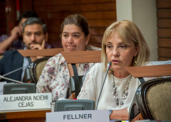 Liliana Fellner envío una Carta Documento a la Ministra de Educación