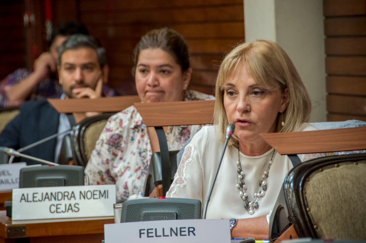 Liliana Fellner envío una Carta Documento a la Ministra de Educación