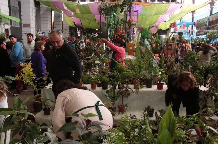 Positivo balance del éxito que fue la Séptima Edición del Evento de la floricultura