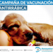 Lanzamiento campaña antirrabica 2018