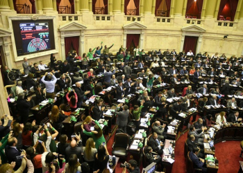 El Proyecto de Despenalización obtuvo media sanción