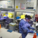 Concluyen con éxito pruebas en humanos de una nueva vacuna contra el sida