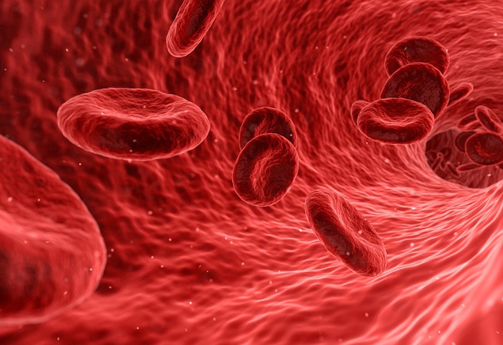 Descubren un nuevo 'microórgano' en el cuerpo humano