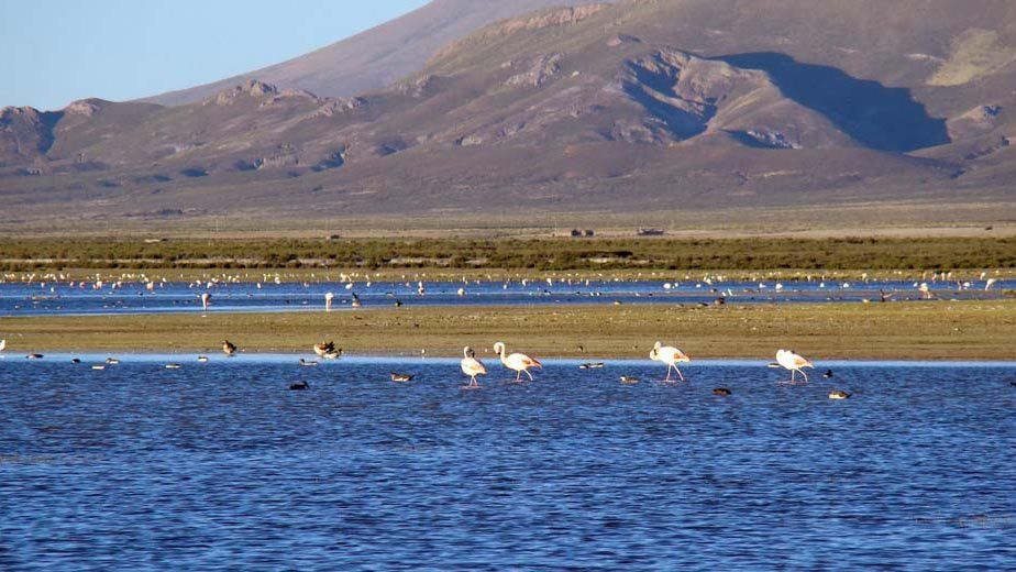 Jujuy con 7 paisajes continúa en la carrera de las 7 Maravillas Naturales Argentinas