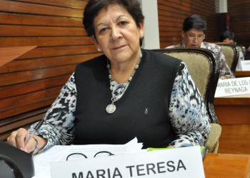 Liliana Fellner representa el pasado que no debe volver