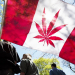 Canadá, el primer país del G-20 con marihuana legal: cuáles serán las reglas de la nueva era