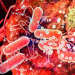 Premio Nobel de Medicina por crear el mejor tratamiento contra el cáncer