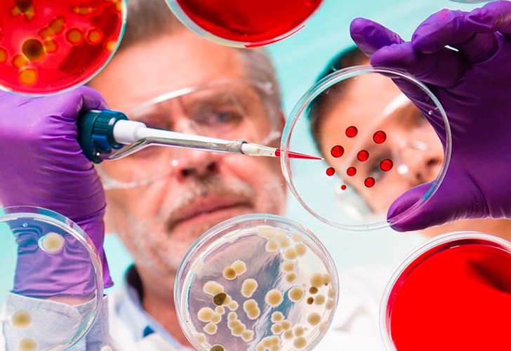 El "Arca de Noe" hecha de microbios humanos será la cura contra la crisis global de salud