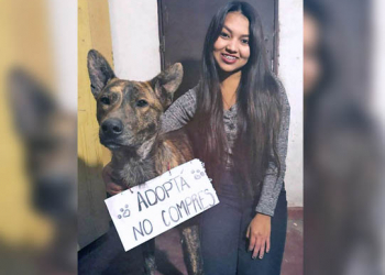 Vanesa Amante; una re-constructora de hogares