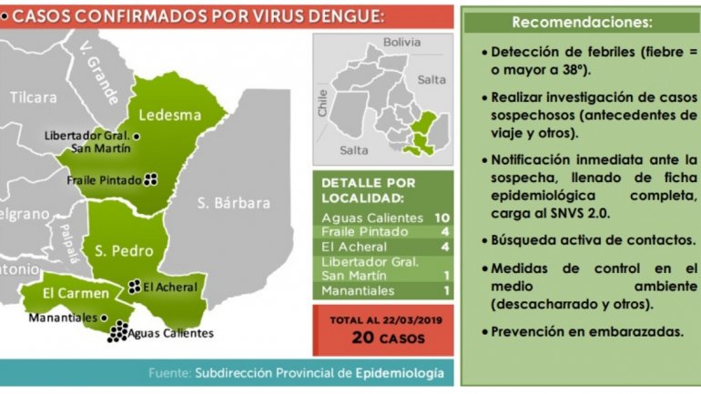 20 casos de dengue autóctono confirmados