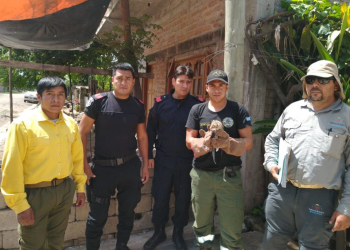 La tenencia, tráfico, maltrato y venta de fauna silvestre esta prohibida por ley