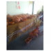 V Edición de la Feria de Productos en comunidad aborigen de Tafna
