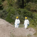 Hallan 75 bolsas con trozos de cuerpos humanos en bosque mexicano