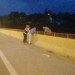 La policía rescató a un hombre que intentó arrojarse del Puente Paraguay
