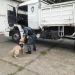 Un nuevo golpe al narcotráfico