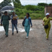 Se confirmaron 6 nuevos casos de dengue en Jujuy