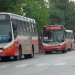 Dictan conciliación obligatoria y se normalizará paulatinamente el servicio de colectivos