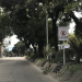 Desmalezado y mantenimiento de espacios verdes urbanos
