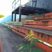 Insólito. Creció una planta de marihuana en un estadio del ascenso