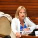 Liliana Fellner: “Es preciso brindar apoyo al sector turístico, están en una situación muy crítica”