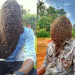Un joven se deja cubrir la cara por 60 mil abejas: “Son mis mejores amigas”