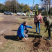 Se plantaron árboles en B° Los Molinos