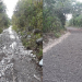 Continúan con la apertura y arreglo de caminos en Pueblo Viejo