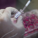 Comienzan en Brasil la pruebas de vacunas que desarrolló Oxford contra el coronavirus