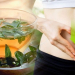 Empieza a consumir té de salvia y olvídate del malestar menstrual