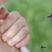 Los casos de dengue en el país ascienden a 54.870, el mayor registro histórico