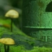 El hongo de Chernóbil como escudo para astronautas: demuestran cómo crece en el espacio y reduce la exposición a la radiación