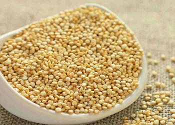 Conoce el superalimento que está salvando vidas en el mundo