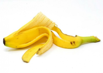 Estos son todos los usos que le puedes dar a una cáscara de plátano