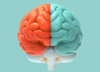 Cada 22 de julio se celebra el Día Mundial del Cerebro