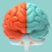 Cada 22 de julio se celebra el Día Mundial del Cerebro
