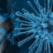El nuevo coronavirus también infecta el cerebro