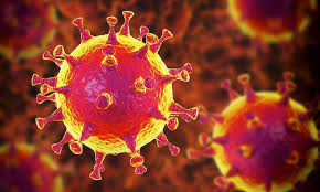 Los alimentos no son fuente o vía de transmisión del coronavirus ...