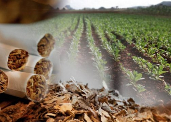 Pedro Pascuttini, hizo referencia al sector tabacalero y al momento que están atravesando