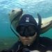 Un fotógrafo captura el momento en que un lobo marino se acerca para jugar con él